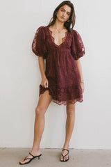 Tiana Embroidered Mini Dress in Red-Brown