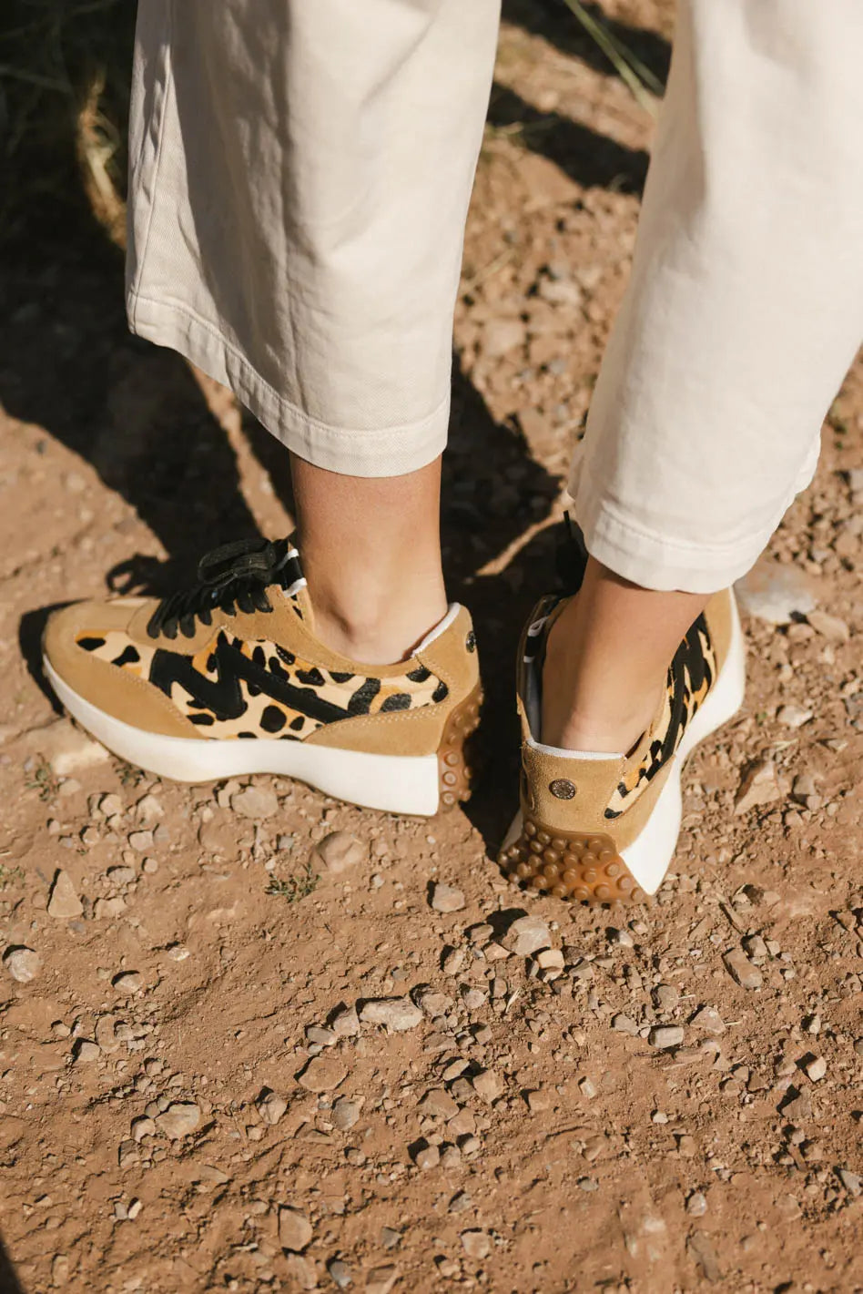 Steve Madden Campo Sneakers in Leopard