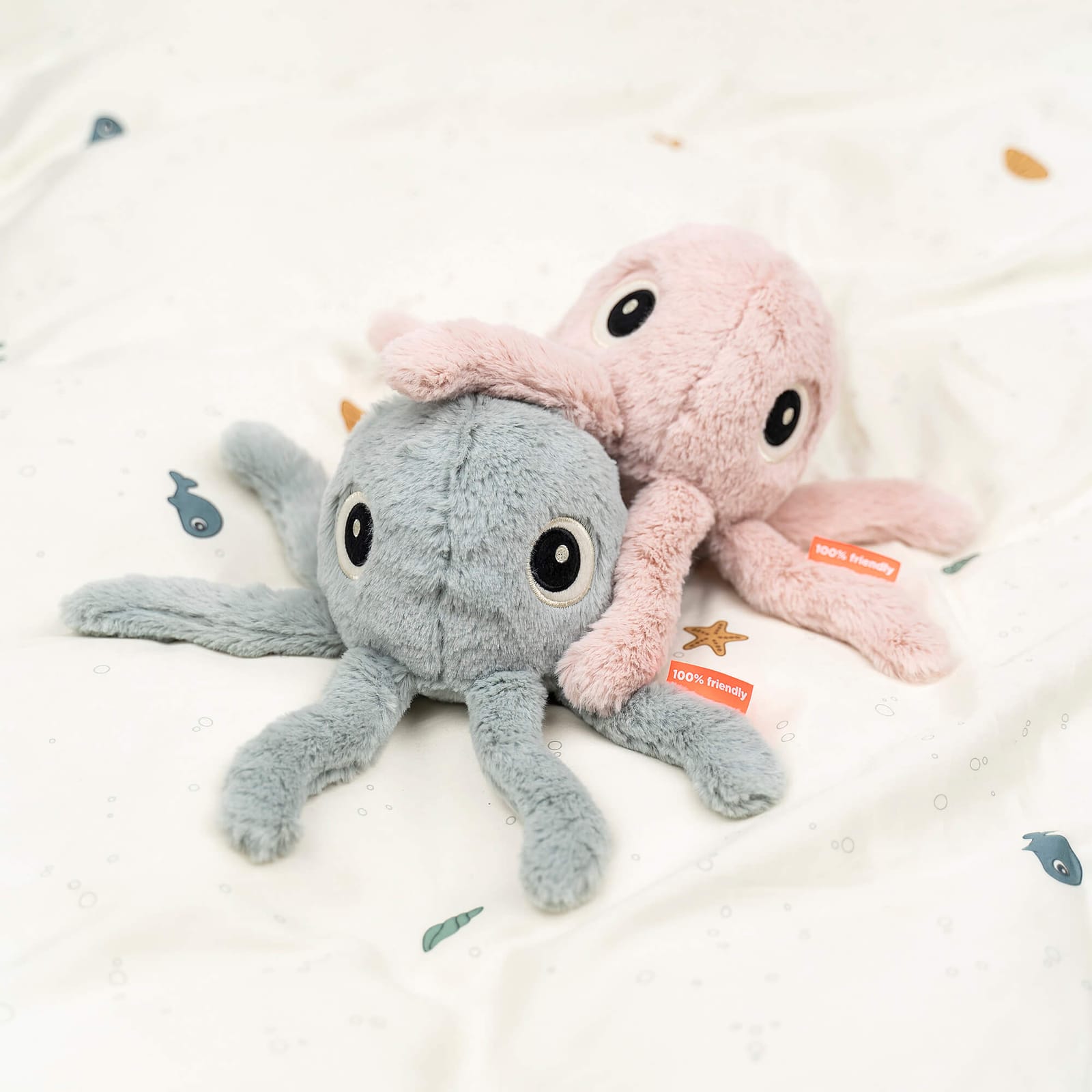 Soft Teddy – Small Jelly Blue