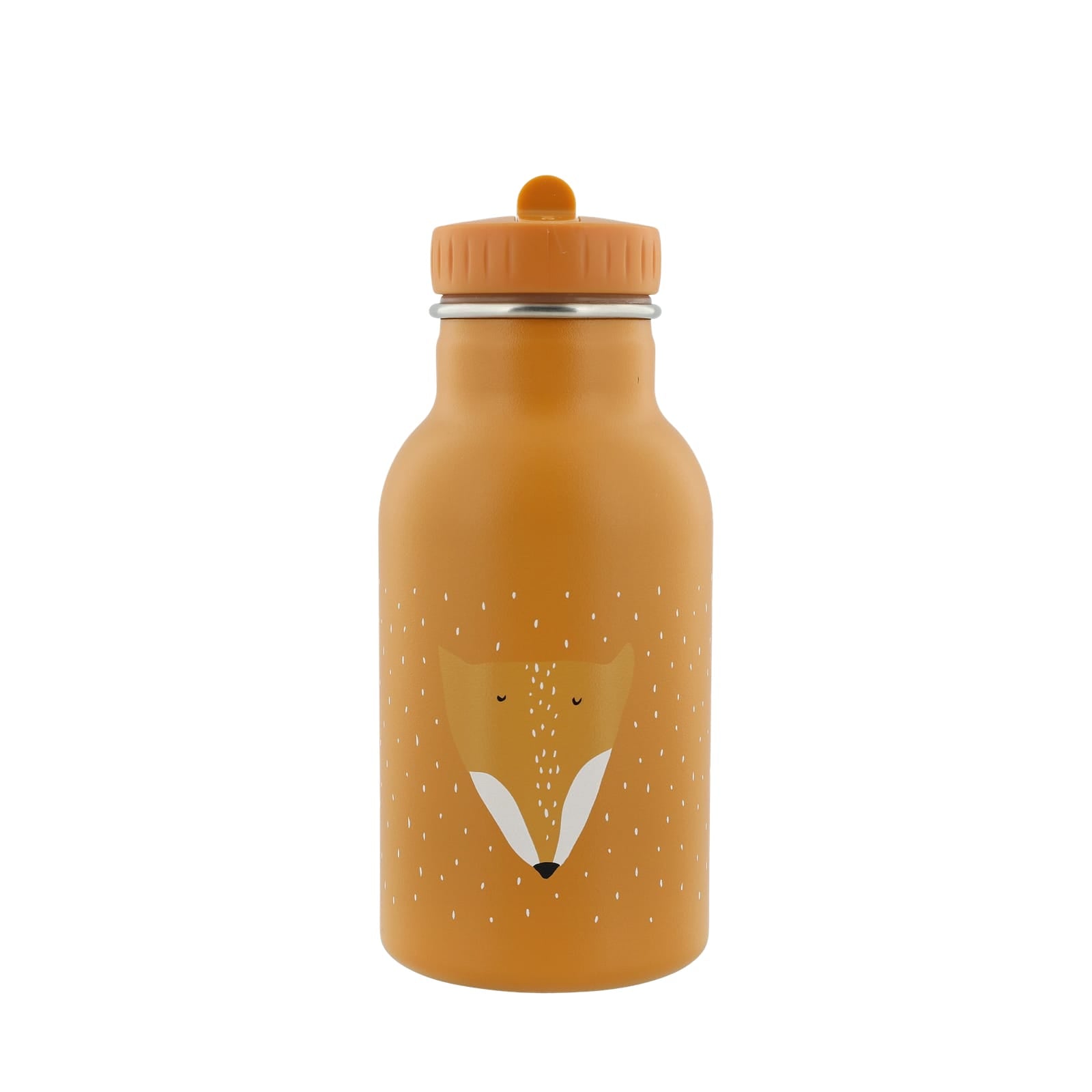 Insulated Water Bottle 350ml – Mr Fox