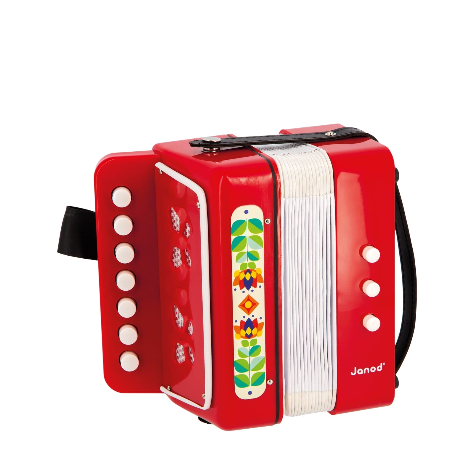 Accordion – Gioia