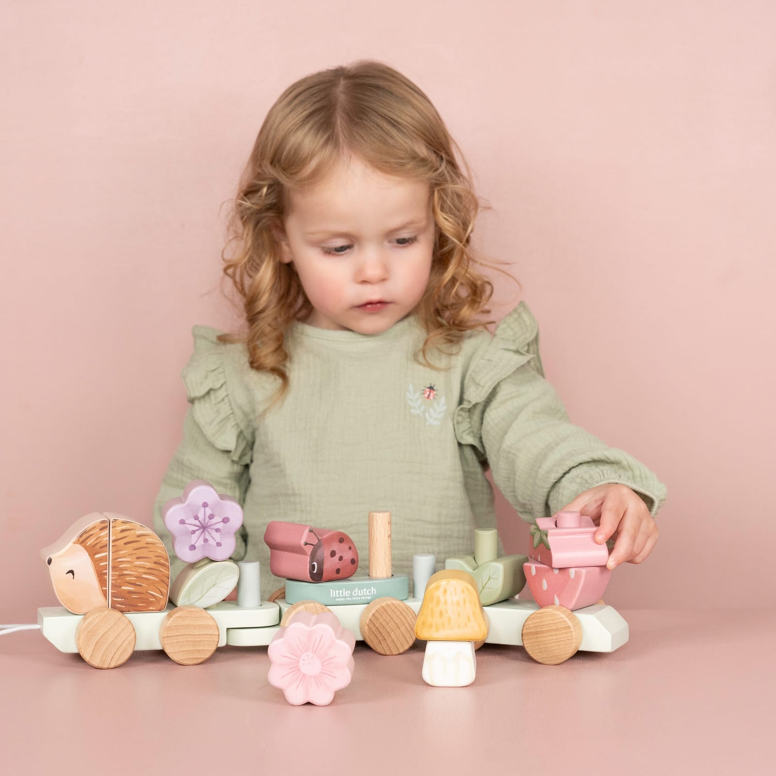 Stacking Train – Fairy Garden Hedgehog