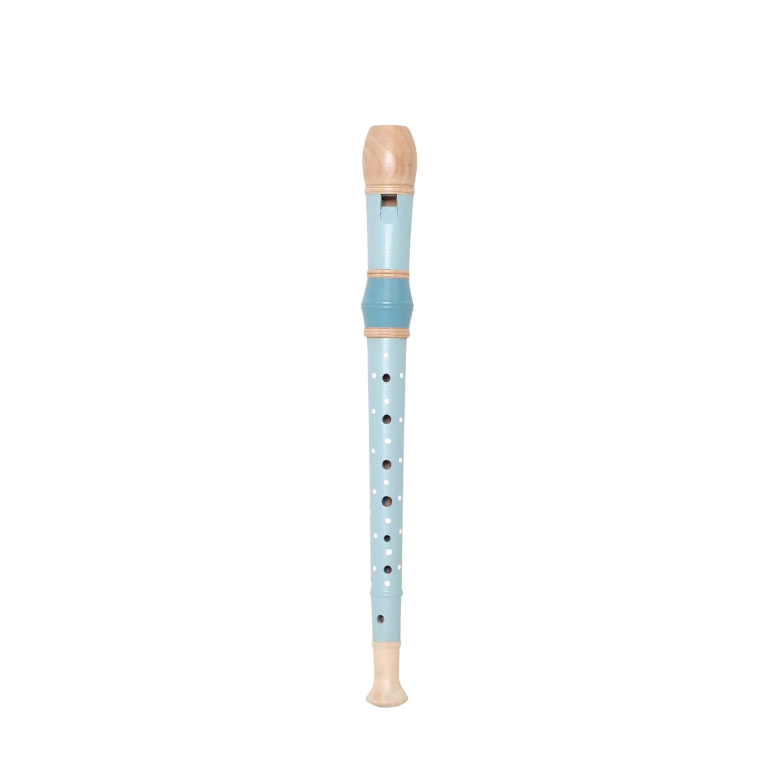 Recorder Blue