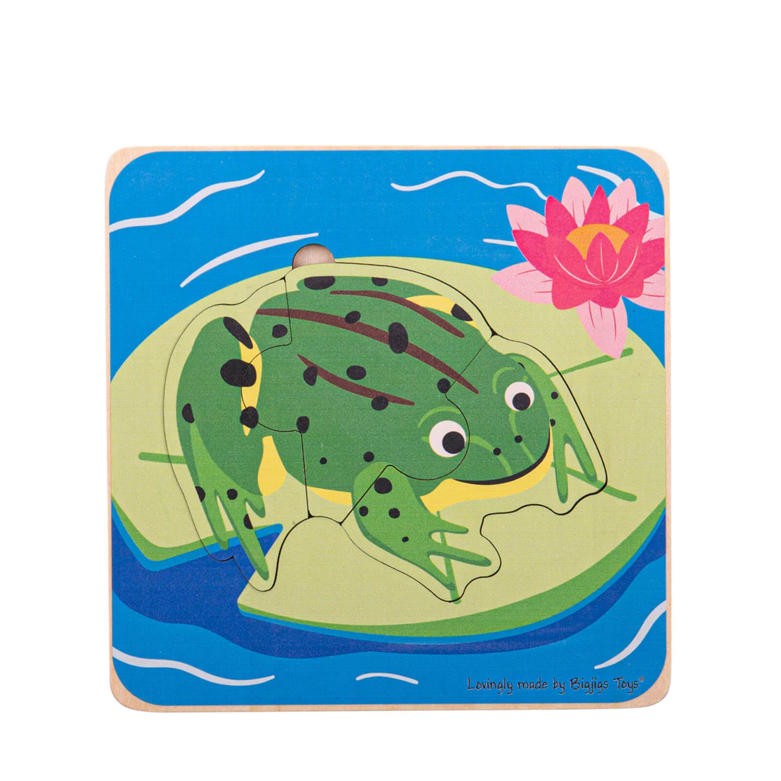 Lifecycle Layer Puzzle – Frog